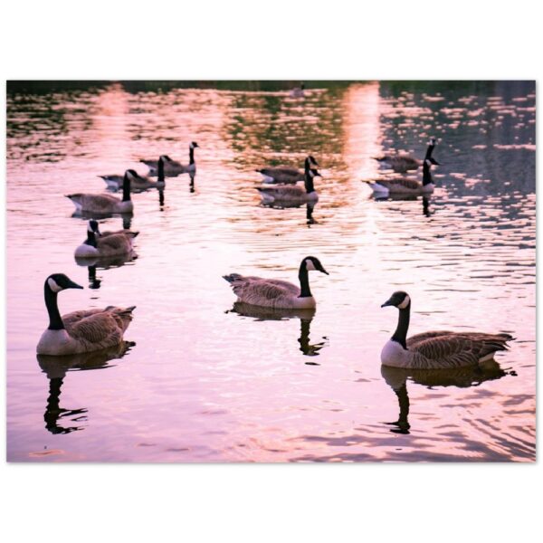 1e40d433-b2c1-4c47-bd94-b7ff9c3e7d6f